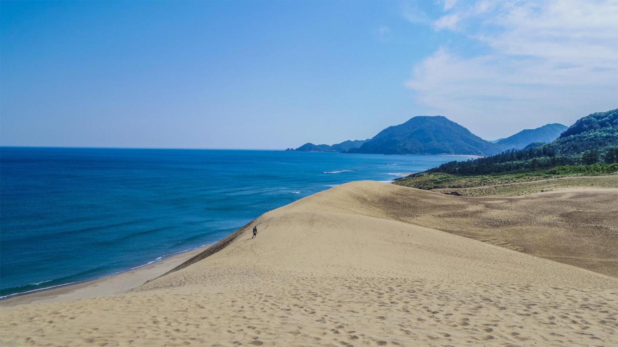 Toyoko Inn Tottori Eki Minami Guchi Екстериор снимка